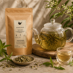 Verveine Odorante