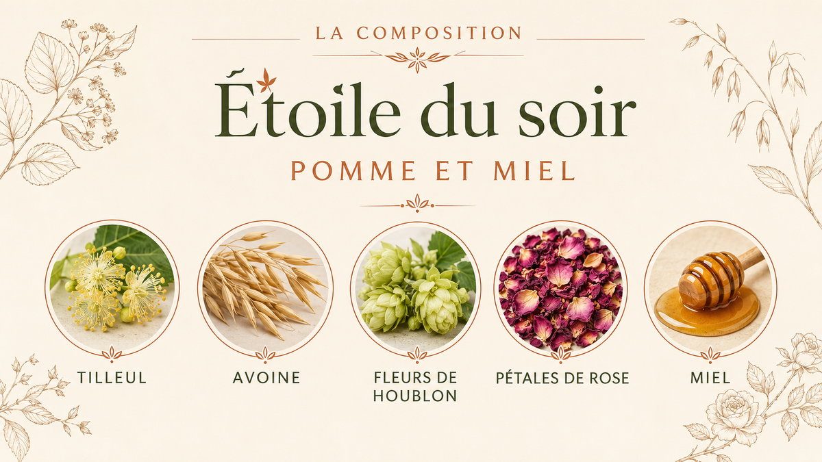 Composition de Étoile du Soir