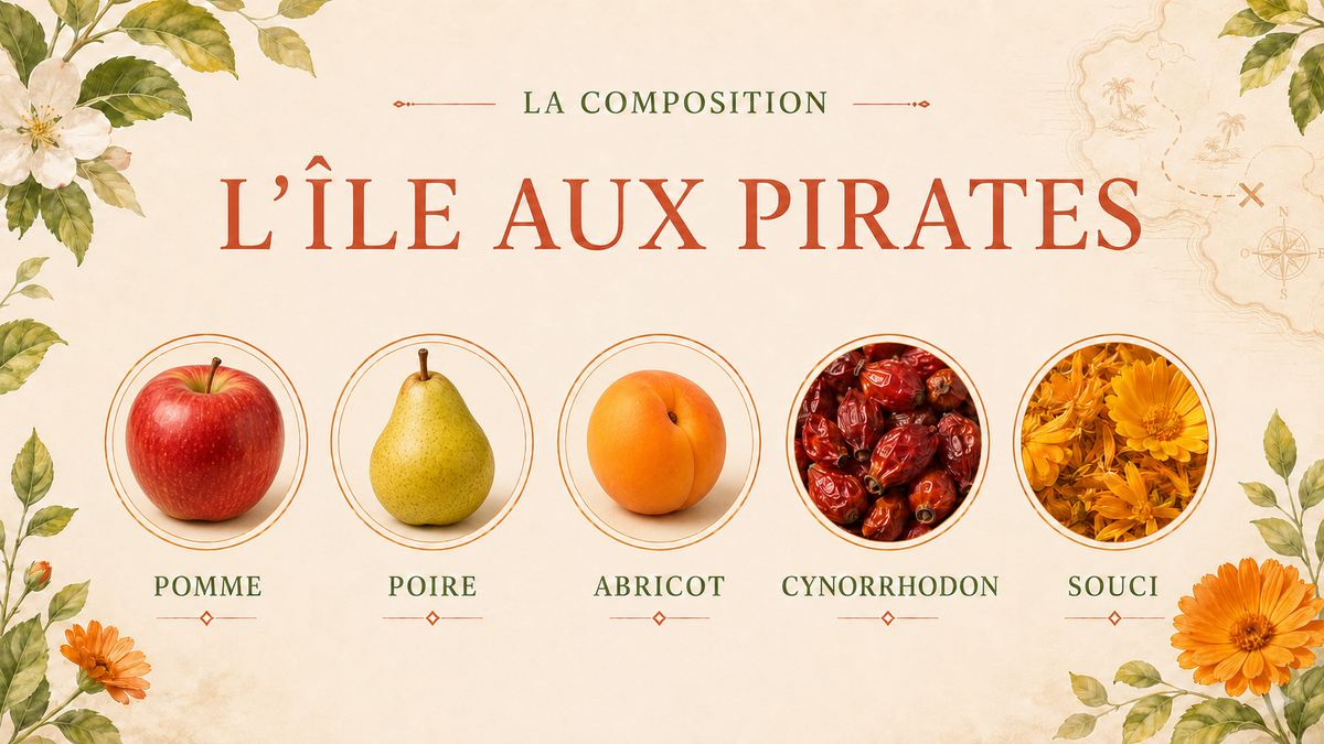 Composition de L’Île aux Pirates – L’aventure fruitée