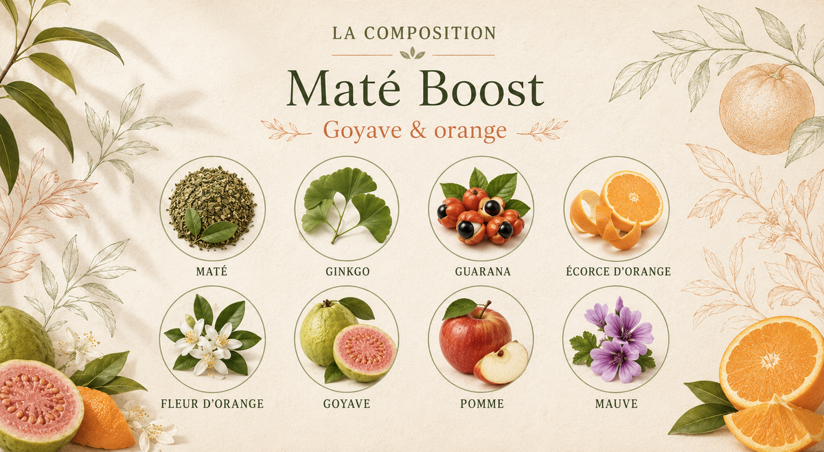 Composition de Maté Boost – Goyave & Orange