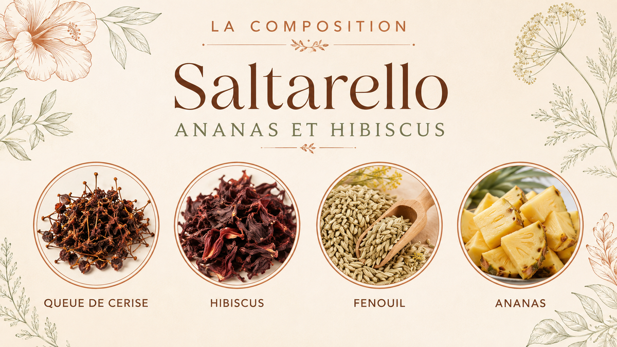 Composition de Saltarello – Ananas & hibiscus